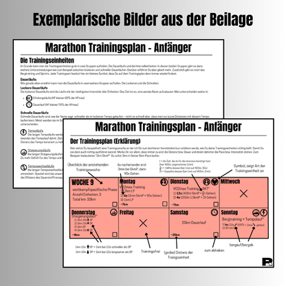 Marathon Anfänger - Trainingsplan (12 Wochen)